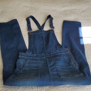 Madewell Santiago Wash Skinny Overalls